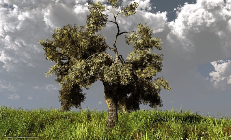 Solitary Tree on Hill — Green, Dramatic, Afternoon, Digital Art, Grass