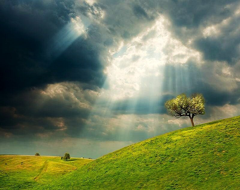 Solitary Tree on Hill — Green, Dramatic, Afternoon, Photograph, Clouds, Sunlight, Hills