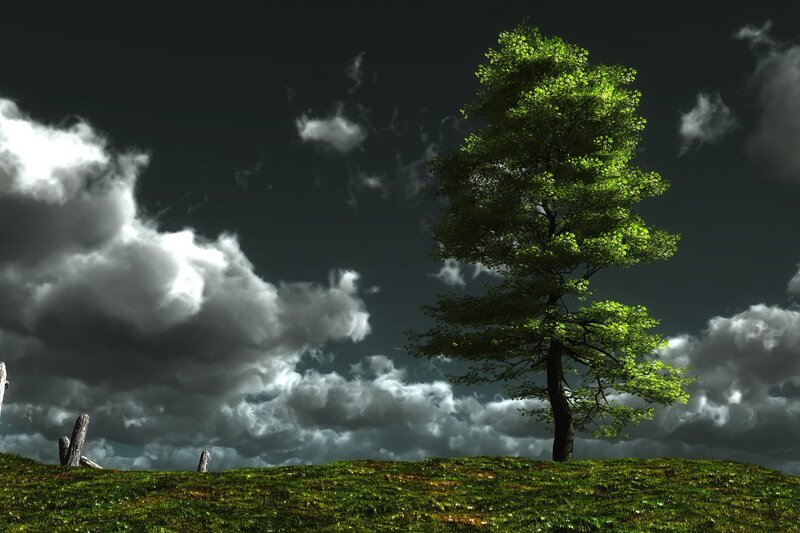 Solitary Tree on Hill — Green, Dramatic, Digital Art, Clouds