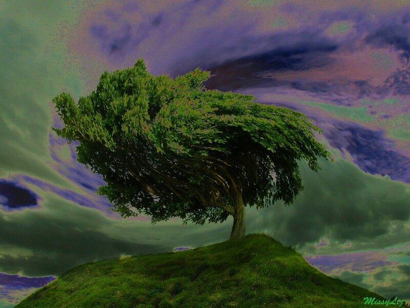 Solitary Tree on Hill — Green, Dramatic, Digital Art