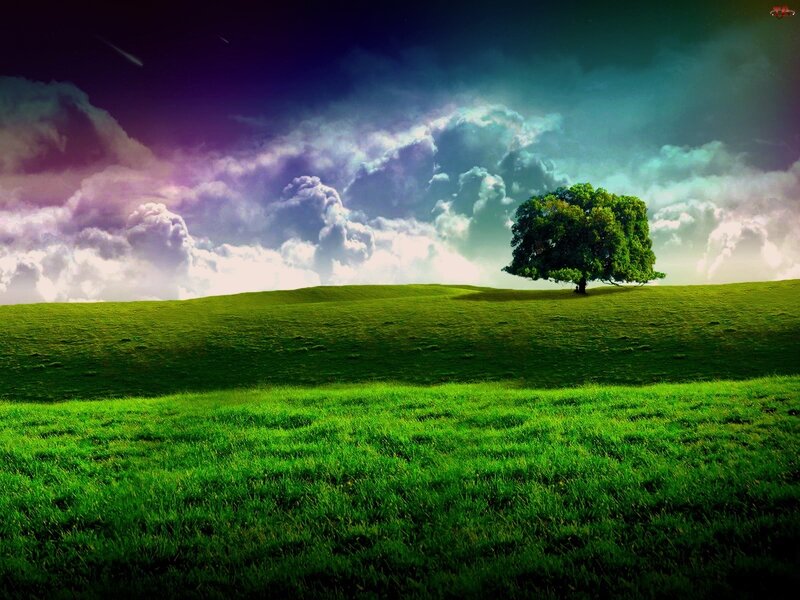 Solitary Tree on Hill — Green, Dramatic, Night, Digital Art, Clouds, Sky