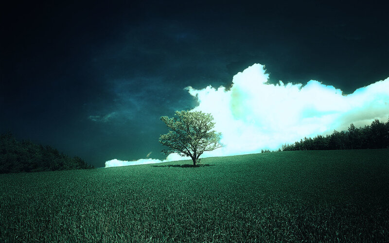 Solitary Tree on Hill — Green, Dramatic, Night, Digital Art, Field