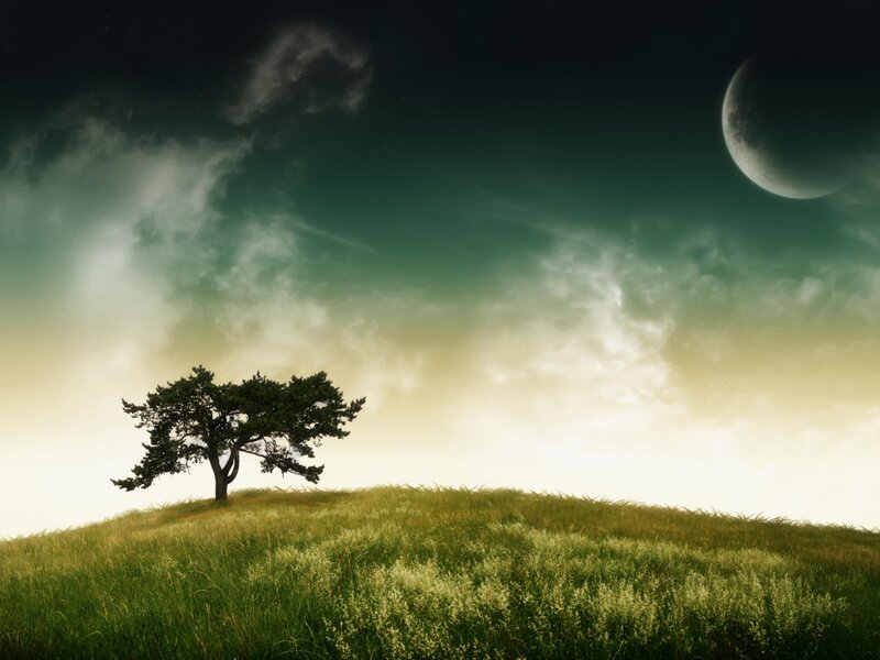 Solitary Tree on Hill — Green, Dramatic, Night, Digital Art, Moon