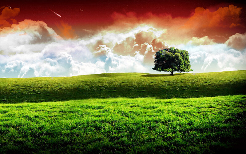 Solitary Tree on Hill — Green, Dramatic, Night, Digital Art