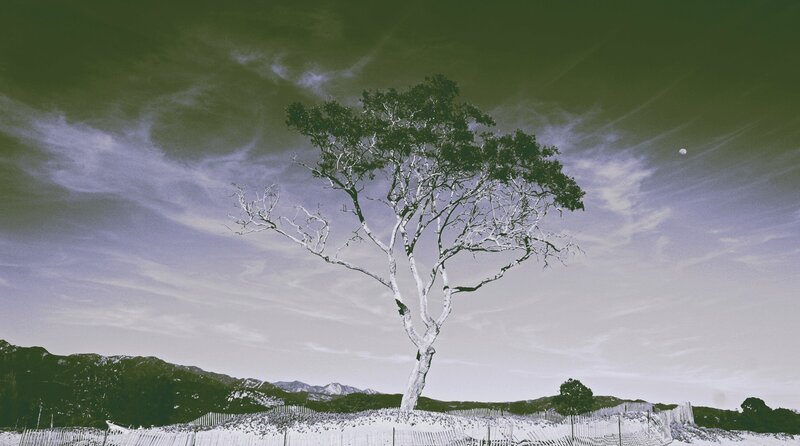 Solitary Tree on Hill — Green, Dramatic, Night, Photograph, Mountains