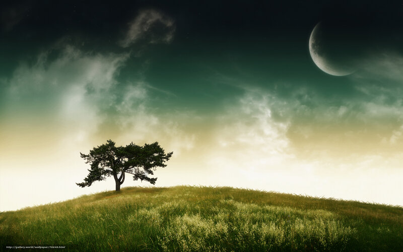 Solitary Tree on Hill — Green, Dramatic, Night