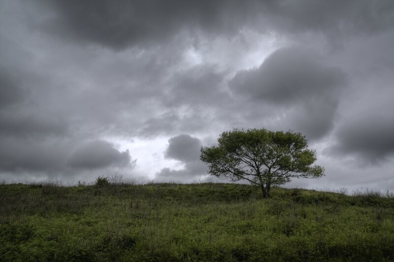 Solitary Tree on Hill — Green, Dramatic, Photograph, Clouds, Grass