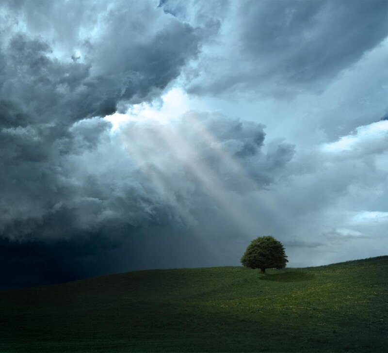 Solitary Tree on Hill — Green, Dramatic, Photograph, Clouds