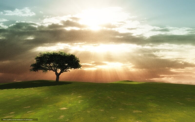 Solitary Tree on Hill — Green, Dramatic, Sunrise, Digital Art