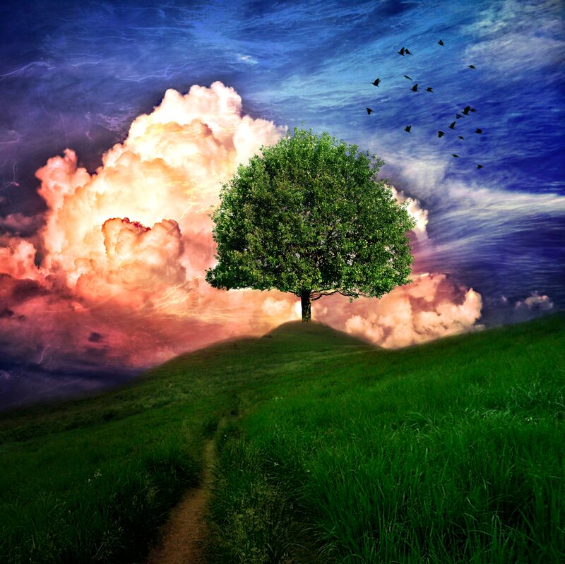 Solitary Tree on Hill — Green, Dramatic, Sunset, Digital Art, Clouds, Birds