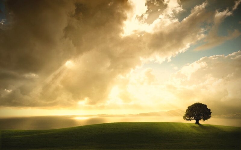Solitary Tree on Hill — Green, Dramatic, Sunset, Digital Art, Clouds, Sunlight, Sea, Yellow