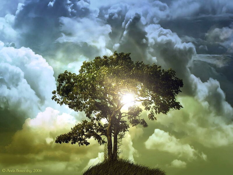 Solitary Tree on Hill — Green, Dramatic, Sunset, Digital Art, Clouds, Sunlight
