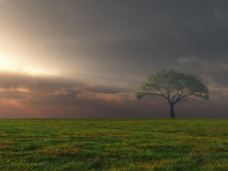 Solitary Tree on Hill — Green, Dramatic, Sunset, Digital Art, Field