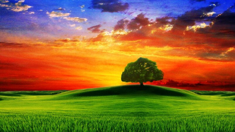 Solitary Tree on Hill — Green, Dramatic, Sunset, Digital Art, Sky, Clouds, Field, Orange, Blue