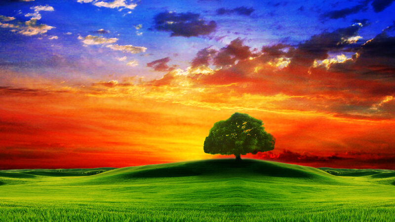 Solitary Tree on Hill — Green, Dramatic, Sunset, Digital Art, Sky