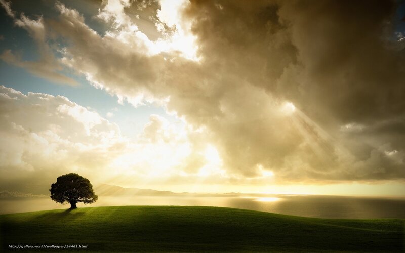 Solitary Tree on Hill — Green, Dramatic, Sunset, Photograph, Clouds, Sunlight