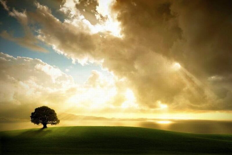 Solitary Tree on Hill — Green, Dramatic, Sunset, Photograph, Clouds