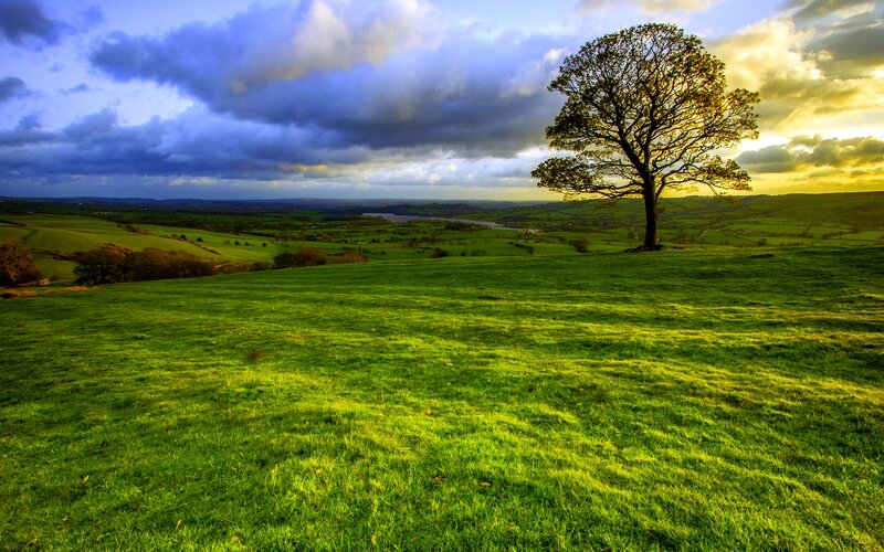 Solitary Tree on Hill — Green, Dramatic, Sunset, Photograph, Clouds, Valley