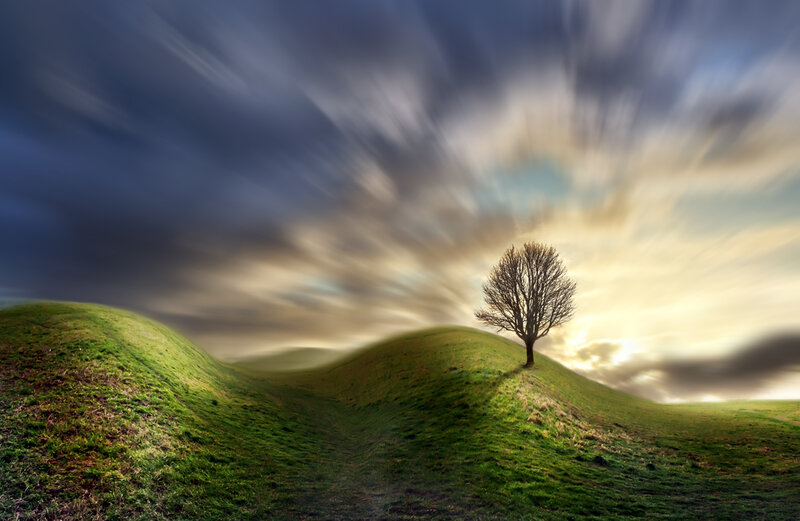 Solitary Tree on Hill — Green, Dramatic, Sunset, Photograph, Sky