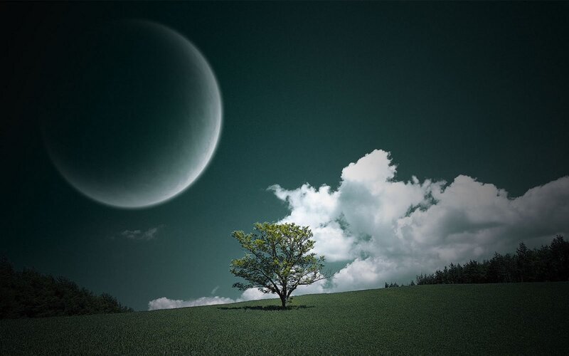 Solitary Tree on Hill — Green, Dramatic