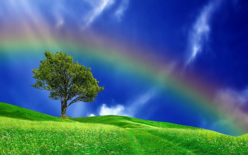 Solitary Tree on Hill — Green, Serene, Afternoon, Digital Art, Rainbow