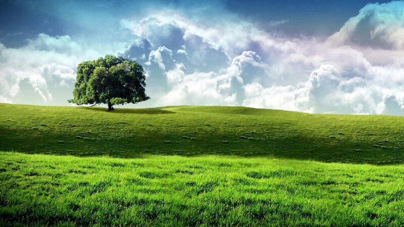 Solitary Tree on Hill — Green, Serene, Afternoon, Photograph, Clouds, Sky