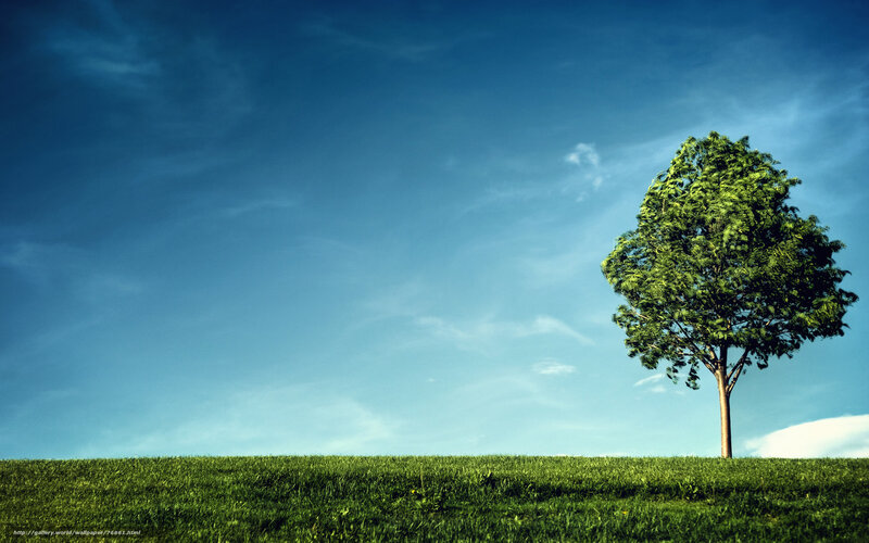 Solitary Tree on Hill — Green, Serene, Afternoon, Photograph, Grass, Sky, Clouds