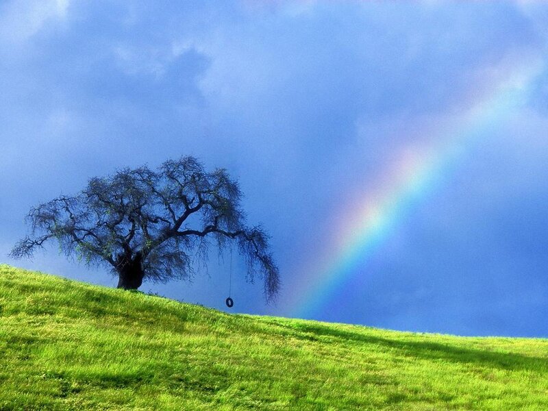 Solitary Tree on Hill — Green, Serene, Afternoon, Photograph, Rainbow, Tire Swing, Grass, Blue