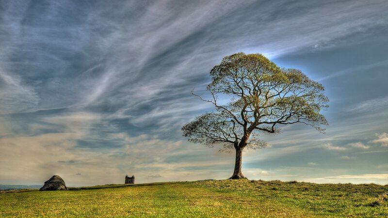 Solitary Tree on Hill — Green, Serene, Afternoon, Photograph, Rock