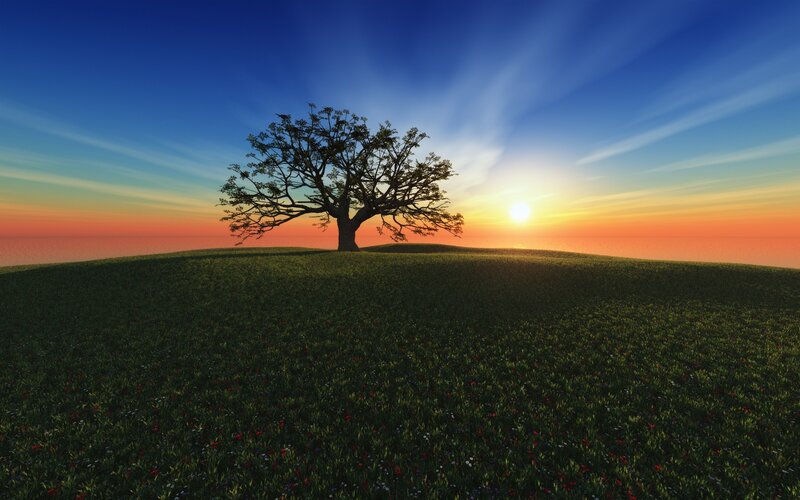 Solitary Tree on Hill — Green, Serene, Sunset, Digital Art, Sun, Sky, Blue, Orange