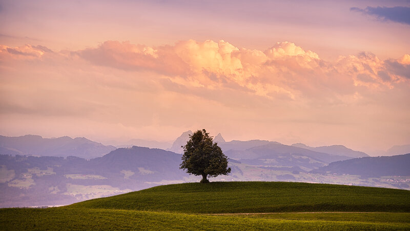 Solitary Tree on Hill — Green, Serene, Sunset, Photograph, Mountains, Clouds