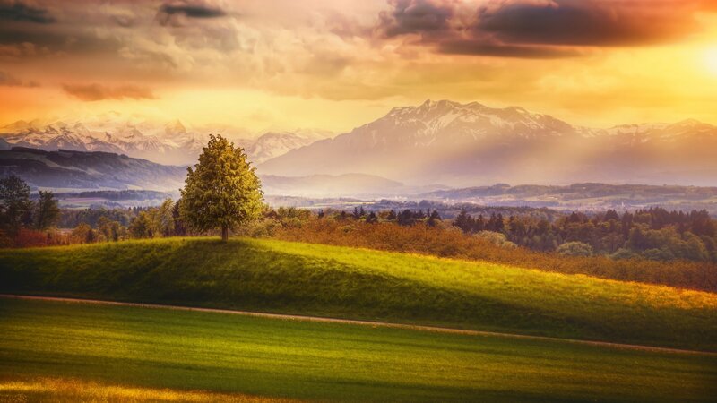 Solitary Tree on Hill — Green, Serene, Sunset, Photograph, Mountains, Field