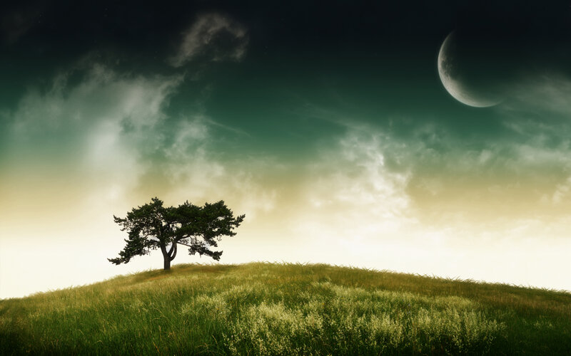 Solitary Tree on Hill — Moon