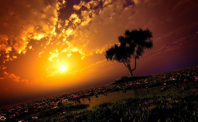 Solitary Tree on Hill — Orange, Dramatic, Sunset, Digital Art