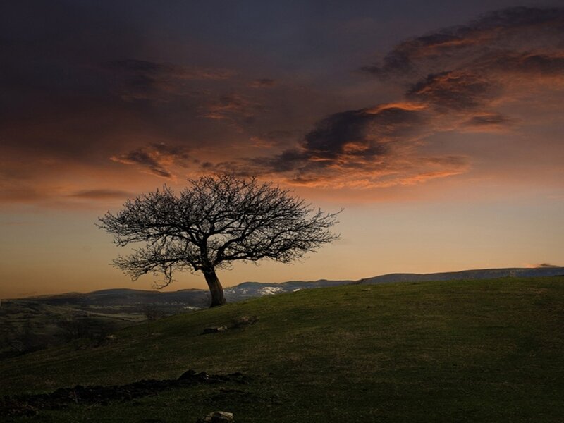 Solitary Tree on Hill — Orange, Dramatic, Sunset, Photograph, Sky, Clouds