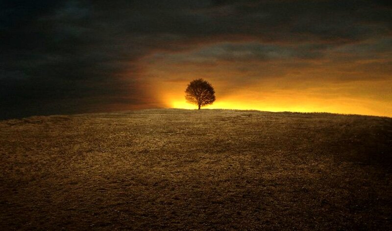 Solitary Tree on Hill — Orange, Dramatic, Sunset, Photograph, Sky