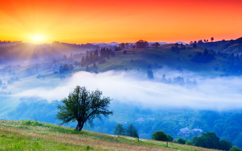 Solitary Tree on Hill — Orange, Serene, Sunrise, Photograph