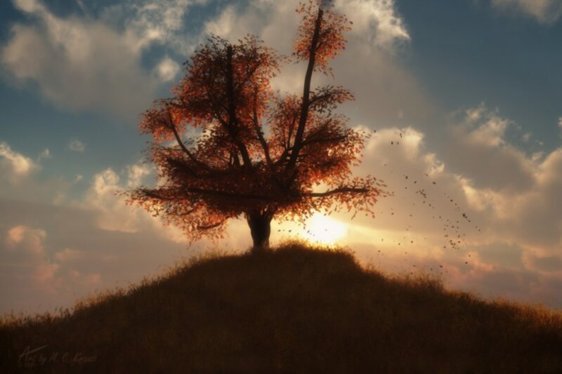 Solitary Tree on Hill — Orange, Serene, Sunset, Digital Art