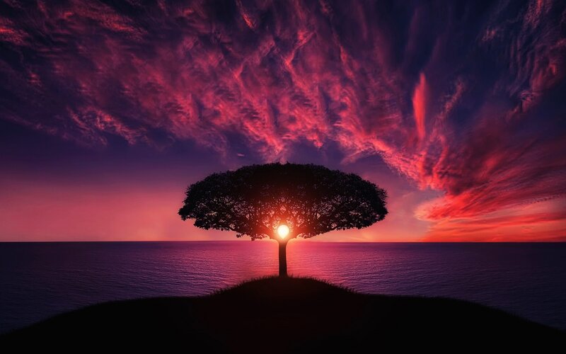 Solitary Tree on Hill — Purple, Dramatic, Sunset, Digital Art, Ocean