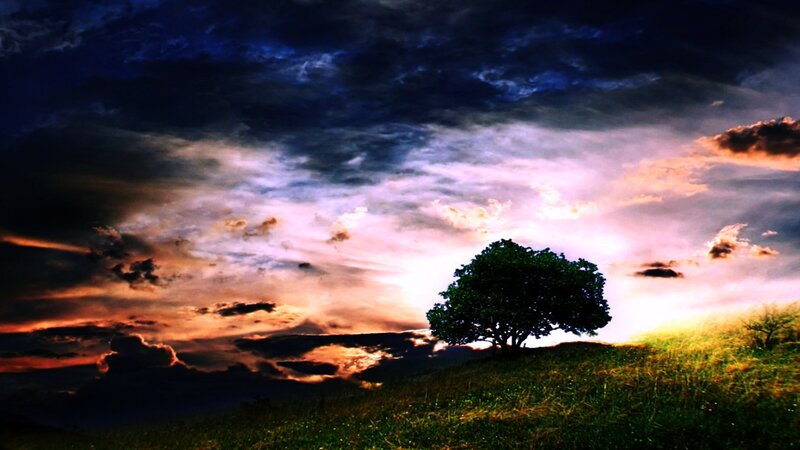 Solitary Tree on Hill — Purple, Dramatic, Sunset, Digital Art, Sky, Clouds, Orange