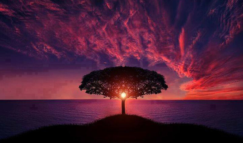Solitary Tree on Hill — Purple, Dramatic, Sunset, Digital Art