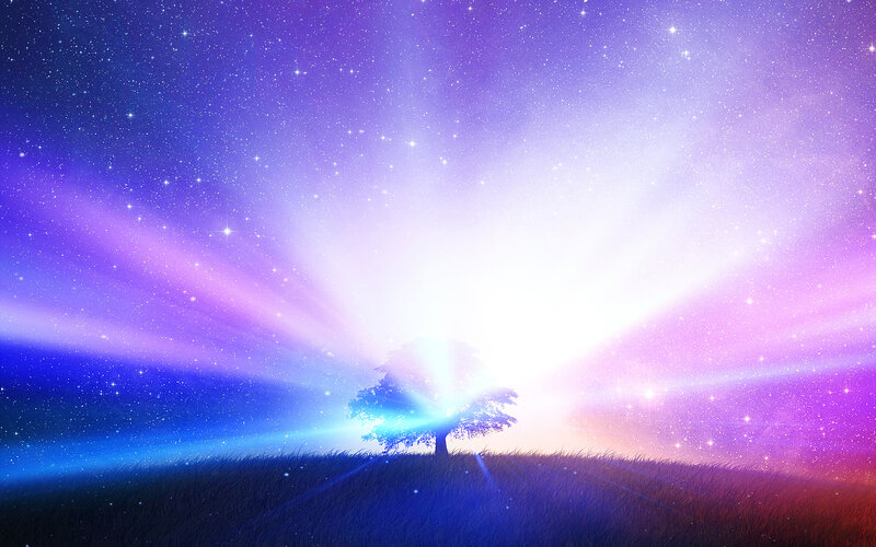 Solitary Tree on Hill — Purple, Serene