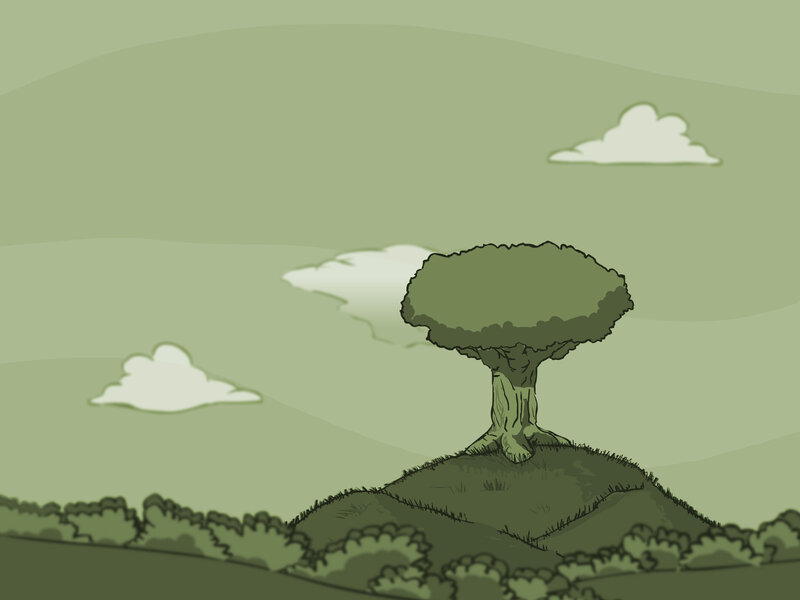 solitary tree on hill