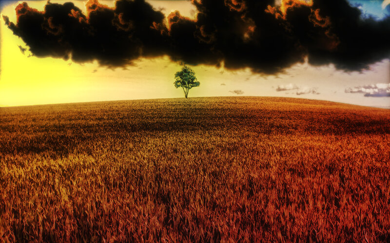Solitary Tree on Hill — Yellow