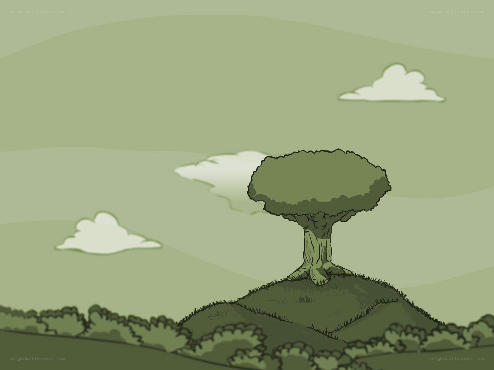 solitary tree on hill