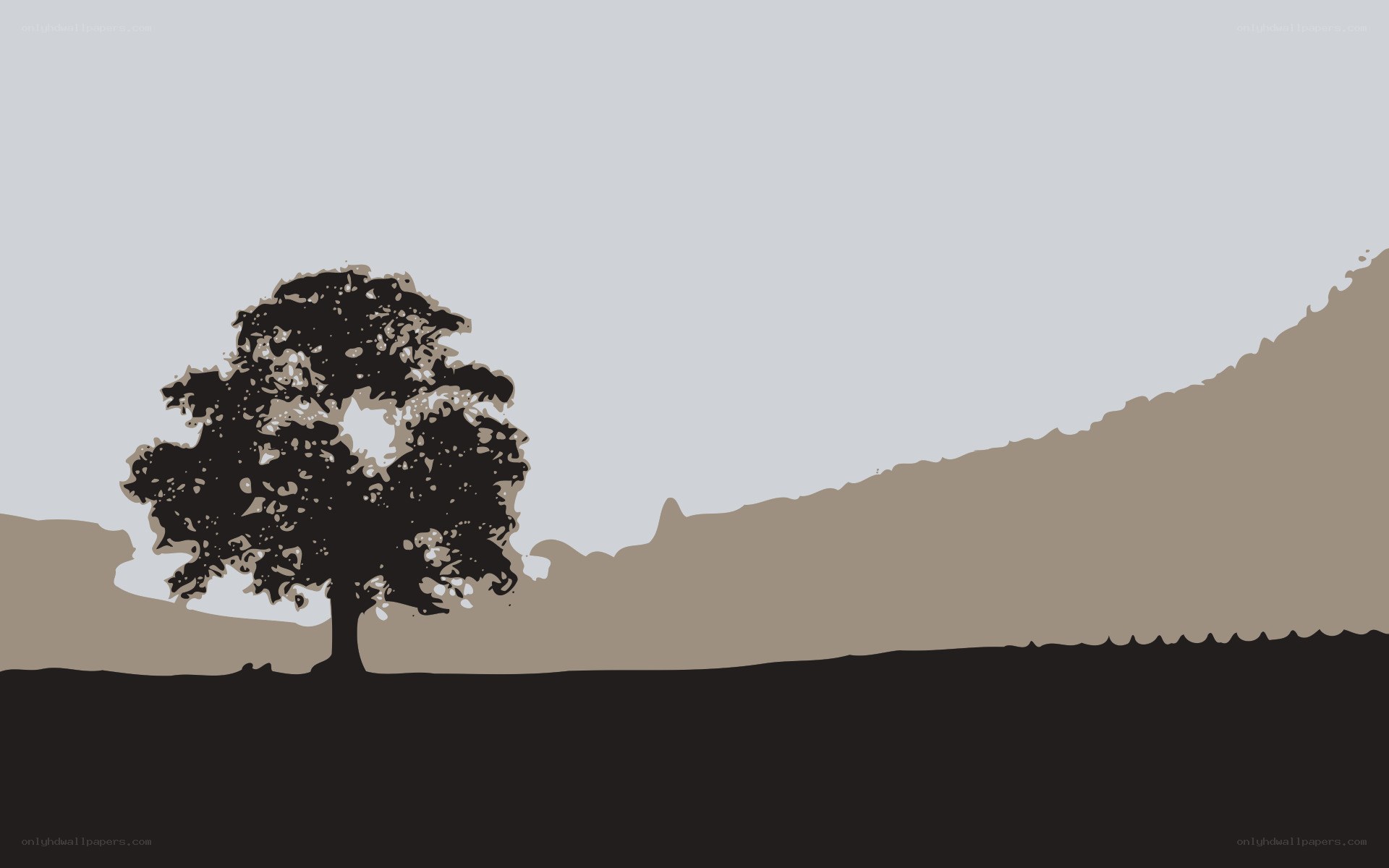 solitary tree on hillside