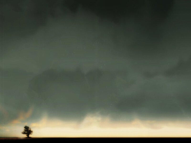Solitary Tree on Horizon — Gray