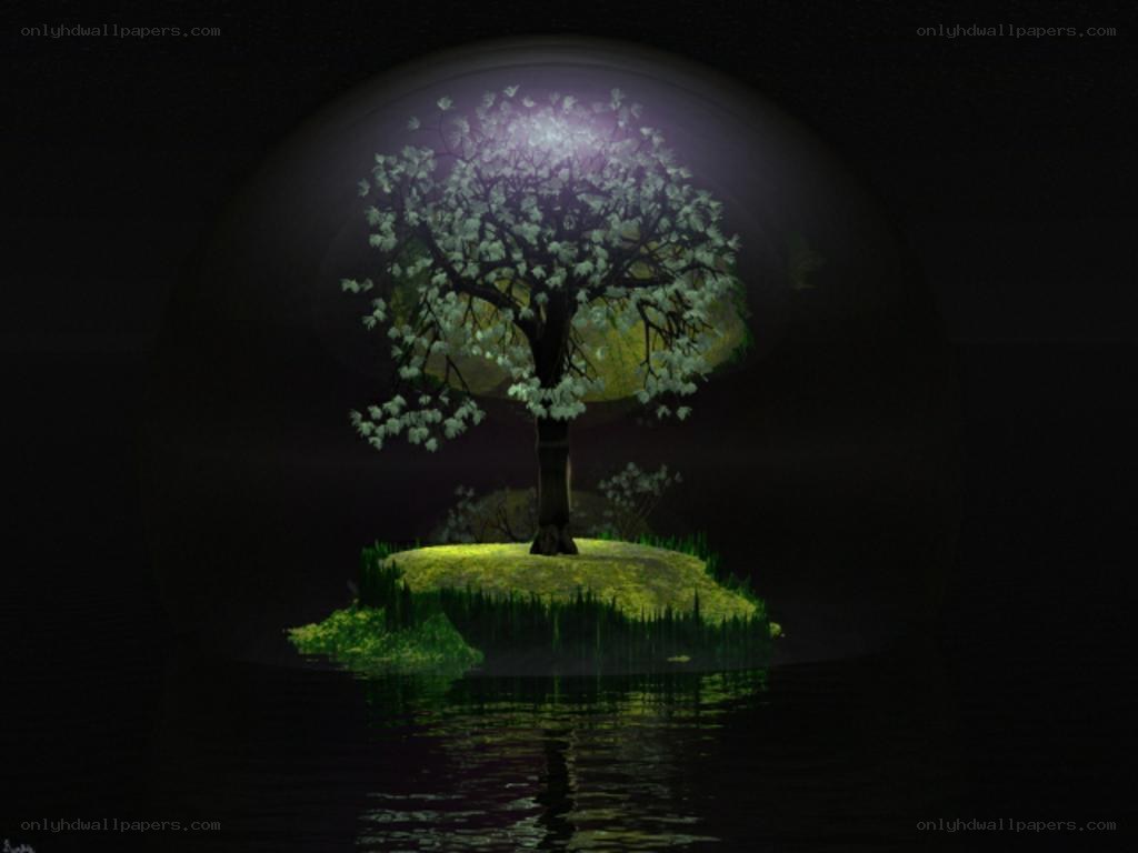 solitary tree on island