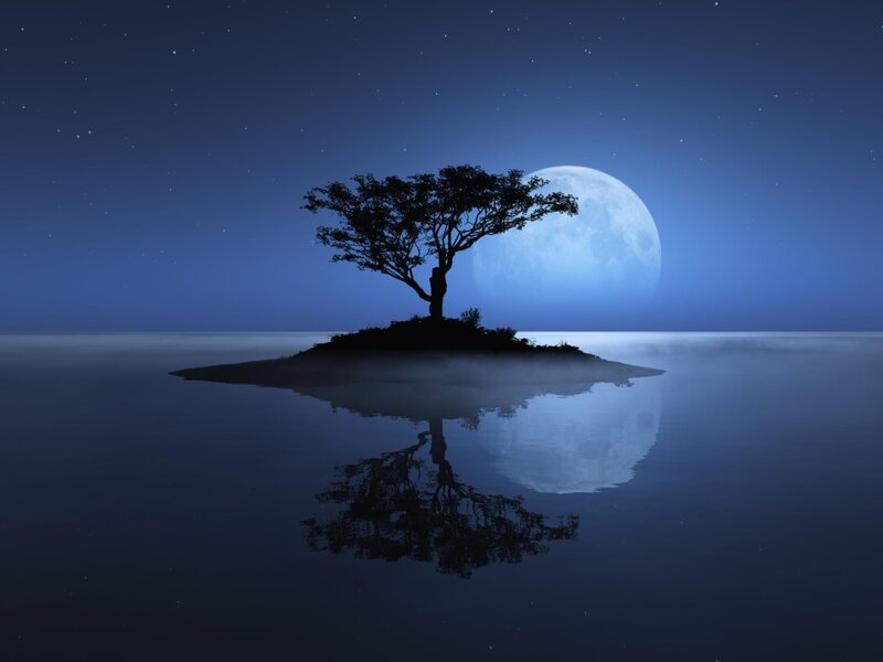 Solitary tree on island at night