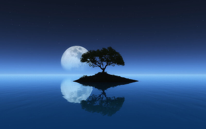 solitary tree on island at night